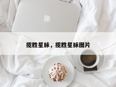揽胜星脉，揽胜星脉图片