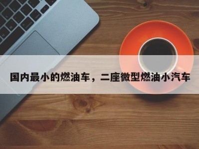 国内最小的燃油车,二座微型燃油小汽车