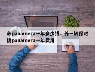养panamera一年多少钱,养一辆保时捷panamera一年费用