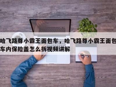 哈飞路尊小霸王面包车,哈飞路尊小霸王面包车内保险盖怎么拆视频讲解