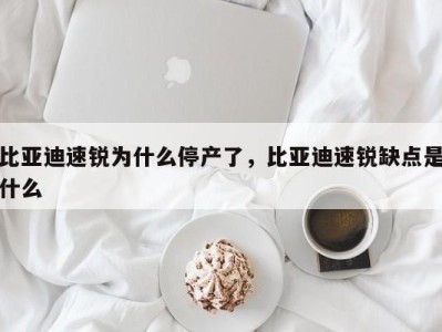 比亚迪速锐为什么停产了，比亚迪速锐缺点是什么