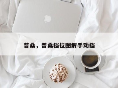 普桑，普桑档位图解手动挡