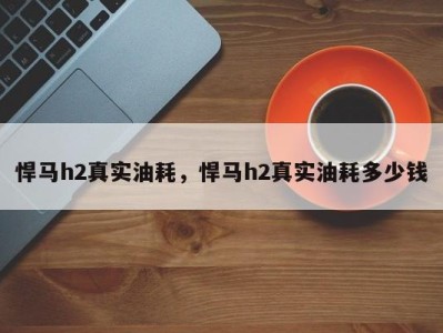 悍马h2真实油耗，悍马h2真实油耗多少钱