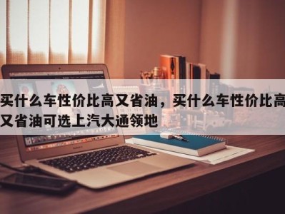 买什么车性价比高又省油，买什么车性价比高又省油可选上汽大通领地