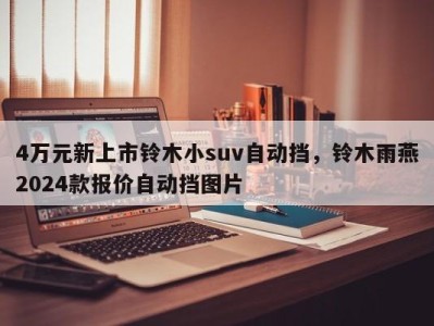4万元新上市铃木小suv自动挡，铃木雨燕2024款报价自动挡图片