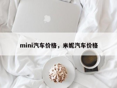 mini汽车价格,米妮汽车价格