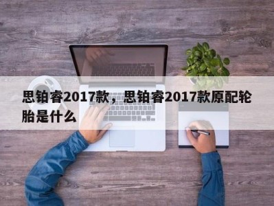 思铂睿2017款,思铂睿2017款原配轮胎是什么
