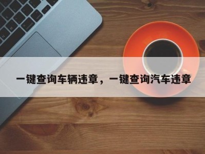一键查询车辆违章，一键查询汽车违章