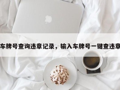 车牌号查询违章记录,输入车牌号一键查违章
