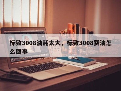 标致3008油耗太大，标致3008费油怎么回事
