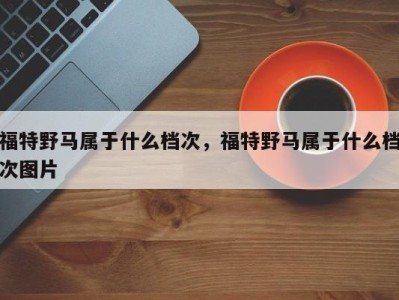 福特野马属于什么档次,福特野马属于什么档次图片