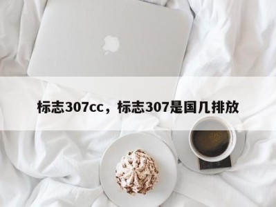 标志307cc,标志307是国几排放