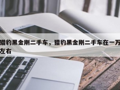 猎豹黑金刚二手车,猎豹黑金刚二手车在一万左右