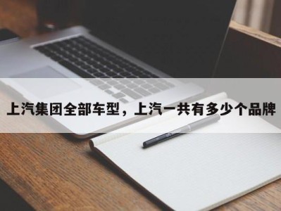 上汽集团全部车型,上汽一共有多少个品牌