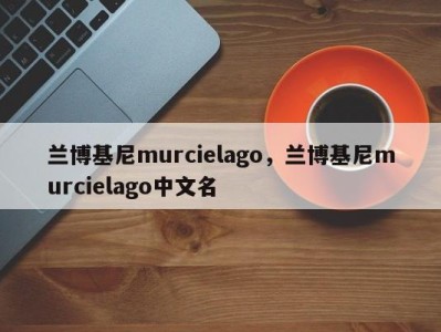 兰博基尼murcielago，兰博基尼murcielago中文名