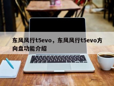 东风风行t5evo，东风风行t5evo方向盘功能介绍