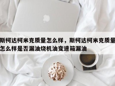 斯柯达柯米克质量怎么样，斯柯达柯米克质量怎么样是否漏油烧机油变速箱漏油
