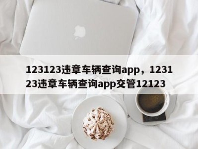 123123违章车辆查询app,123123违章车辆查询app交管12123