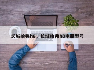长城哈弗h8,长城哈弗h8电瓶型号