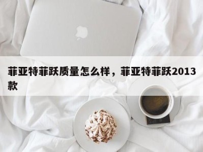 菲亚特菲跃质量怎么样，菲亚特菲跃2013款