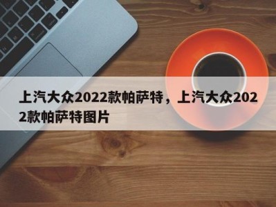 上汽大众2022款帕萨特,上汽大众2022款帕萨特图片
