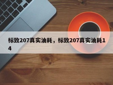 标致207真实油耗，标致207真实油耗14