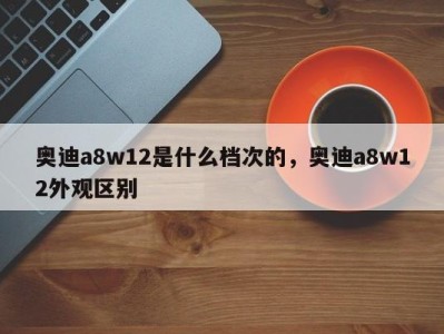 奥迪a8w12是什么档次的,奥迪a8w12外观区别