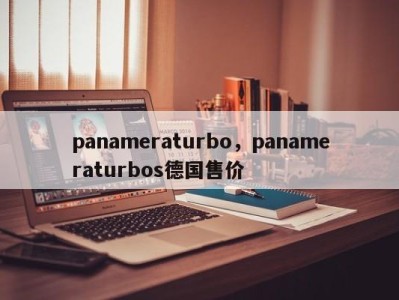 panameraturbo,panameraturbos德国售价