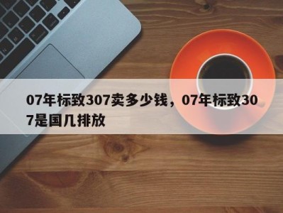 07年标致307卖多少钱,07年标致307是国几排放