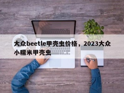 大众beetle甲壳虫价格，2023大众小糯米甲壳虫