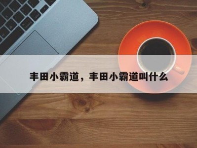 丰田小霸道,丰田小霸道叫什么
