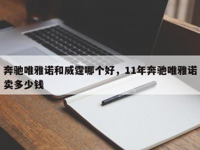 奔驰唯雅诺和威霆哪个好,11年奔驰唯雅诺卖多少钱