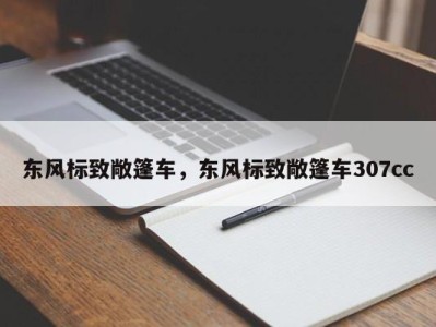 东风标致敞篷车，东风标致敞篷车307cc