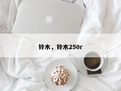 铃木,铃木250r