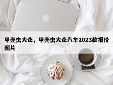 甲壳虫大众，甲壳虫大众汽车2023款报价图片