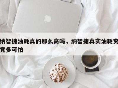 纳智捷油耗真的那么高吗,纳智捷真实油耗究竟多可怕