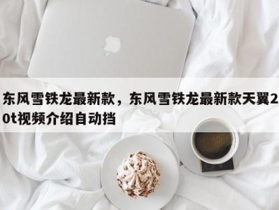 东风雪铁龙最新款,东风雪铁龙最新款天翼20t视频介绍自动挡