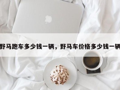 野马跑车多少钱一辆,野马车价格多少钱一辆